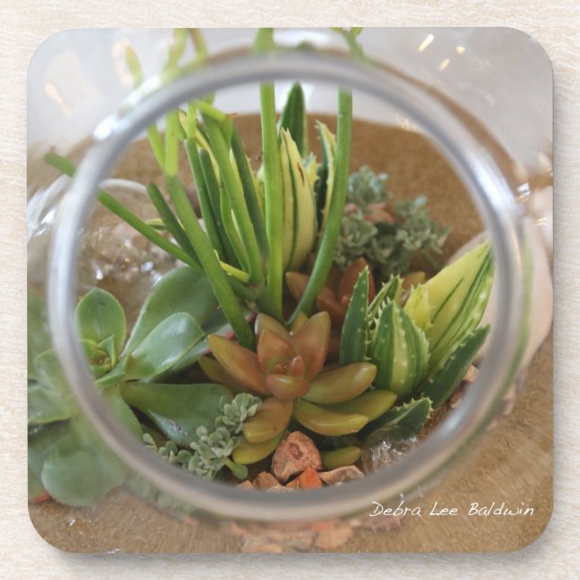 Porta-copo Portas copos do Succulent por Debra Lee Baldwin (Frente)