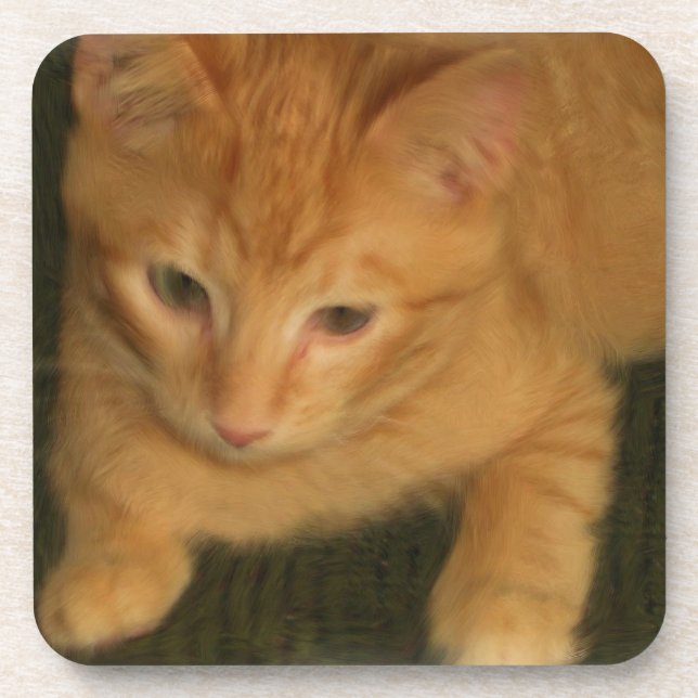 Porta-copo Portas copos gatinhos - Conjunto 6 (Frente)