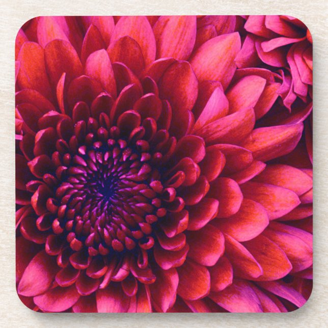 PORTA-COPO PORTAS COPOS MÃE CORK (Frente)