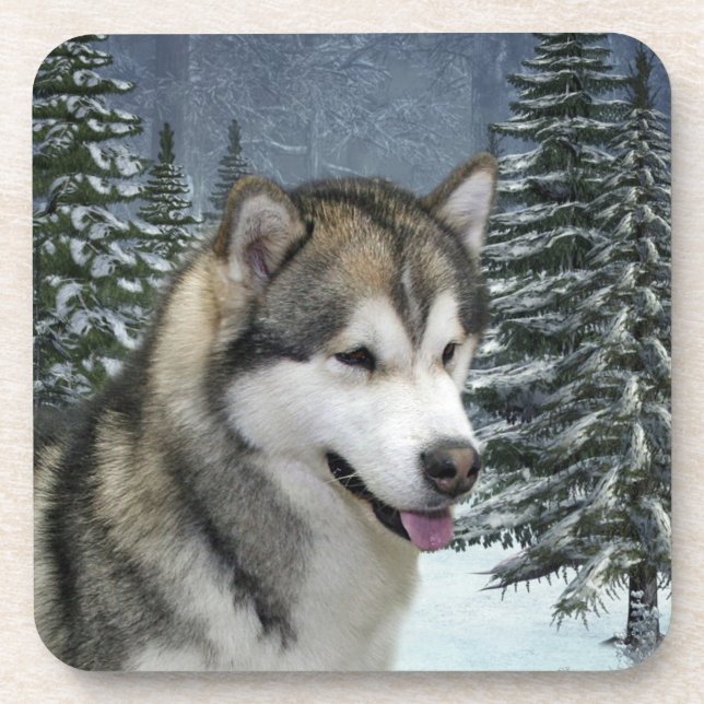 Porta-copo Portas copos Malamute do Alaska (Frente)