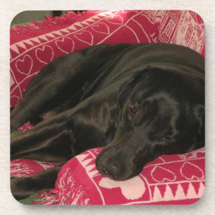 Porta-copo Portas copos para cães com sono - Conjunto de 6