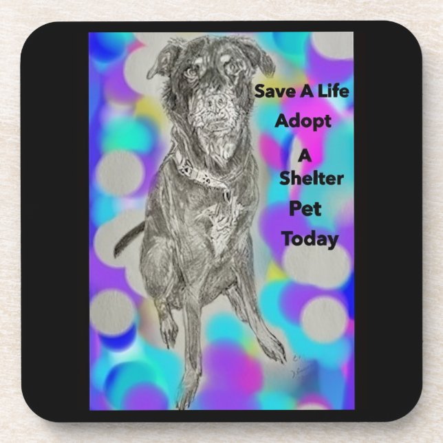 Porta-copo Portas copos plásticas do duro (Frente)