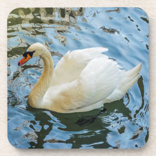 Porta-copo Portas copos plásticas duras da cisne branca