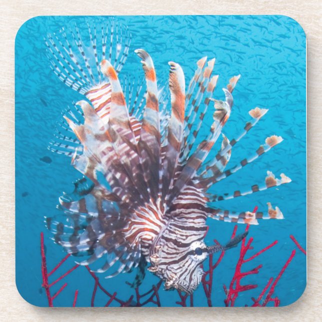 Porta-copo Portas copos plásticas duras do Lionfish (ajuste (Frente)