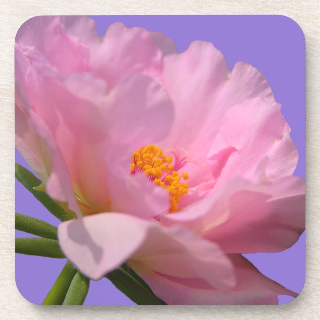 Porta-copo Portas copos Rosa de Peony (Frente)