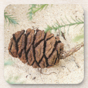 Porta-copo Portas copos Sequoia Cone Cork