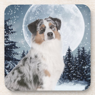 Porta-copo Portas copos Shepherd australianas