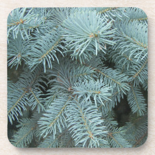Porta-copo Portas copos spruce azuis
