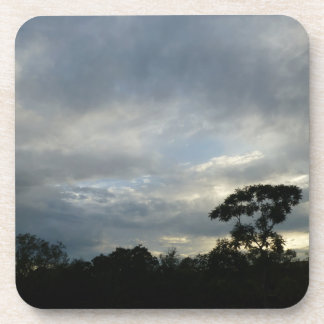 Porta-copo Portas copos tropicais do por do sol