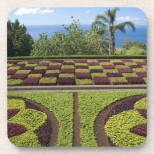 Porta-copo Portugal, Ilha da Madeira, Funchal. Botânica
