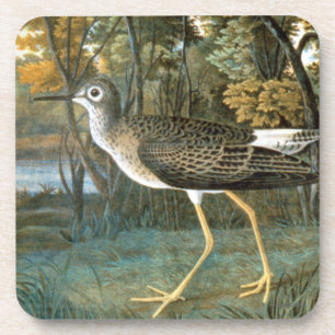 Porta-copo Pouco Yellowlegs