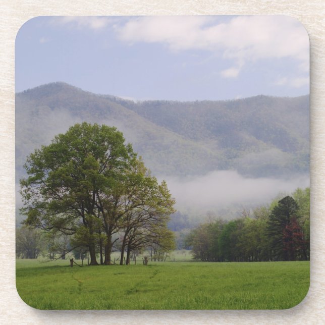 Porta-copo Prado enevoado e Rich Mountain, Cades Cove, (Frente)
