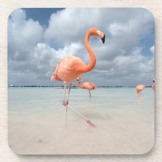Porta-copo Praias Tropicais | Flamingos Beach, Aruba (Frente)