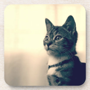 Porta-copo Presentes do amante do gato, presentes temáticos