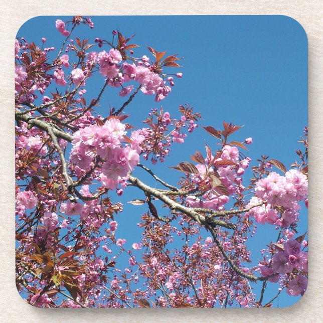 Porta-copo Primavera cerejeiras floridas (Frente)