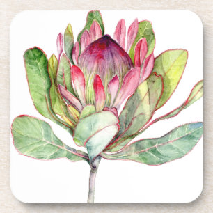 Porta-copo Protea Flor