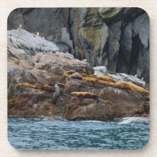 Porta-copo Próximo na linha