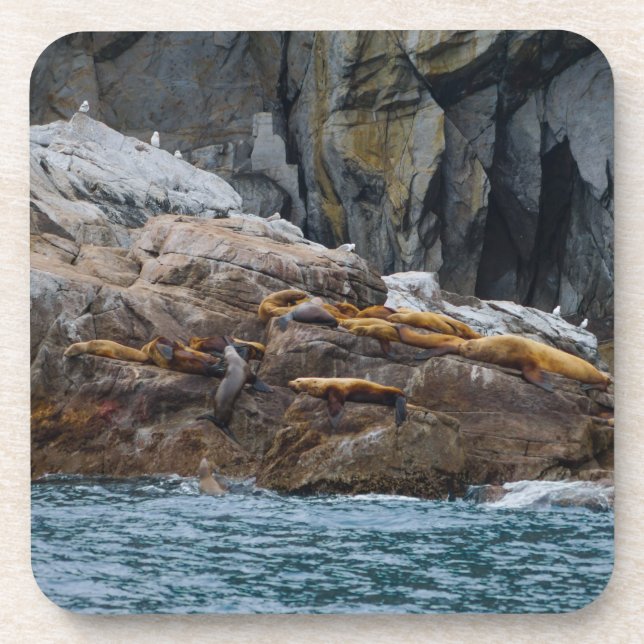 Porta-copo Próximo na linha (Frente)