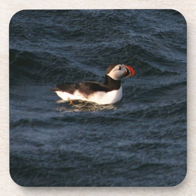 Porta-copo Puffin (Frente)