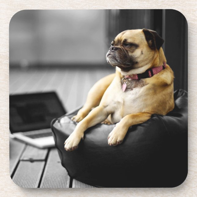 Porta-copo Pug at Rest (Frente)