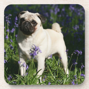Porta-copo Pug da jovem corça que está nos Bluebells