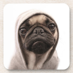 Porta-copo Pug em um Hoodie