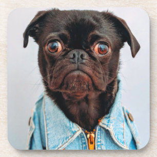 Porta-copo Pug in Denim Jackey Cachorro Adorável