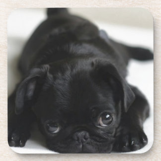 Porta-copo Pug Negro