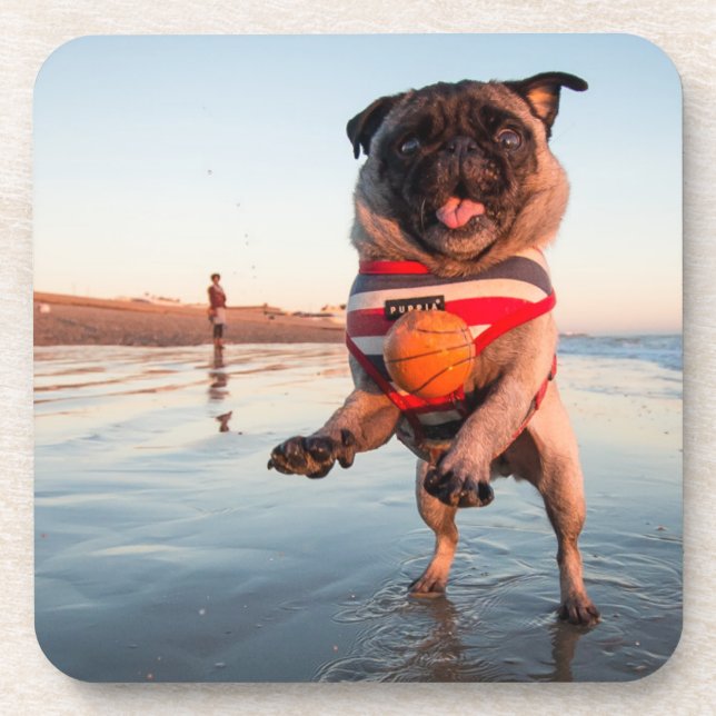 Porta-copo Pug Plays Ball on Beach (Frente)