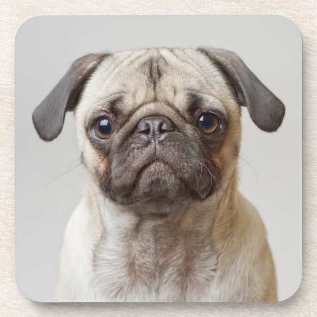 Porta-copo Pug Portrait (Frente)