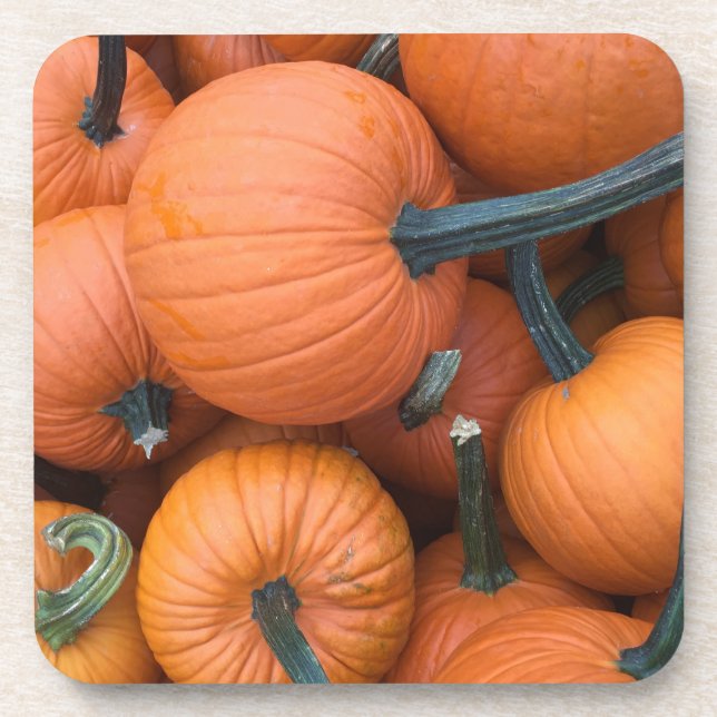 Porta-copo Pumpkin Pile! (Frente)