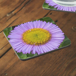 Porta-copo Purple Fleabane Daisy Floral