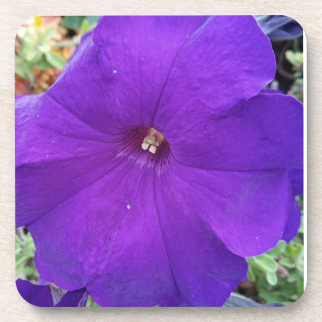 Porta-copo Purple Petunia Coster (Frente)