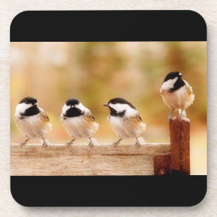 Porta-copo Quatro Chickadees bonitos