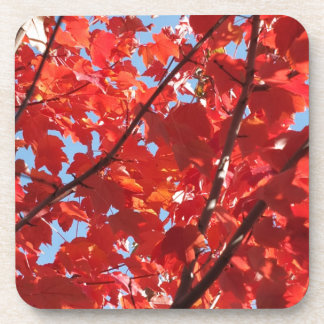 Porta-copo Queda Vermelha