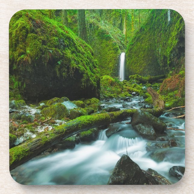 Porta-copo Quedas | Grotto Falls, Oregon (Frente)