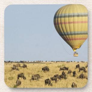 Porta-copo Quênia, Masai Mara. Turistas cavalgam balão de a