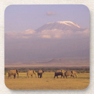 Porta-copo Quênia: Parque Nacional de Amboseli, Elefantes