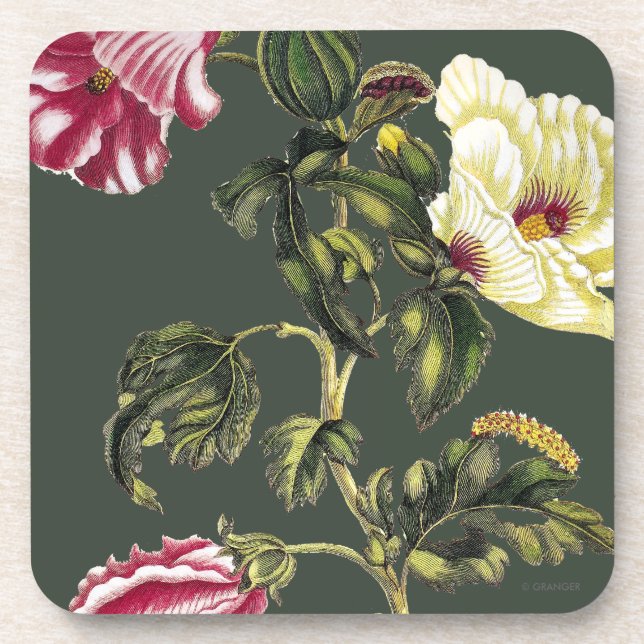 Porta-copo Quiabo (Frente)