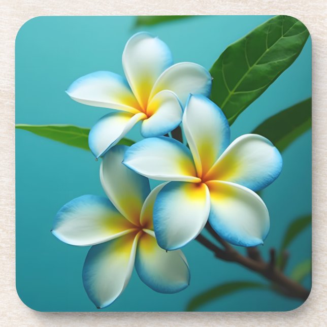 Porta-copo Radiant Plumeria Blooms (Frente)