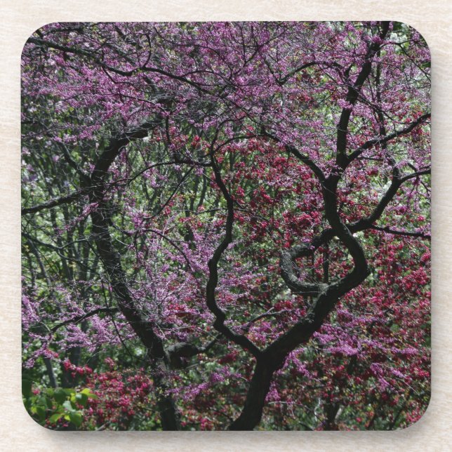 Porta-copo Ramais e Blossomas (Frente)