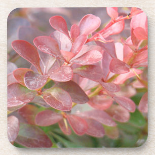 Porta-copo Ramificações bonito rosa