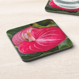 Porta-copo Red Anthurium Bloom Floral