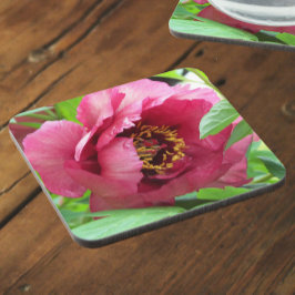 Porta-copo Red Tree Peony Bloom Floral