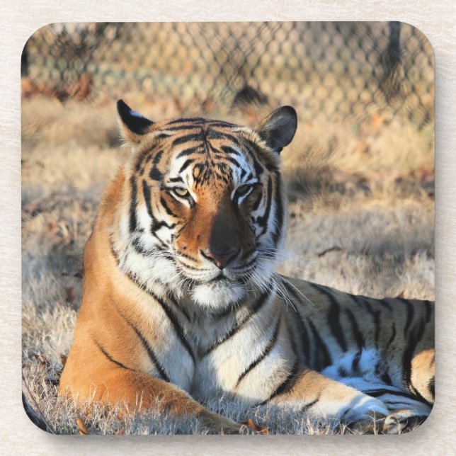 Porta-copo Regall (Frente)