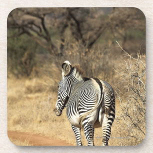 Porta-copo Reserva nacional de Samburu, Kenya