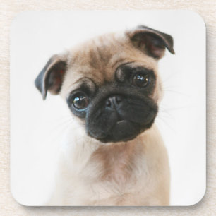 Porta-copo Retrato de Baby Pug