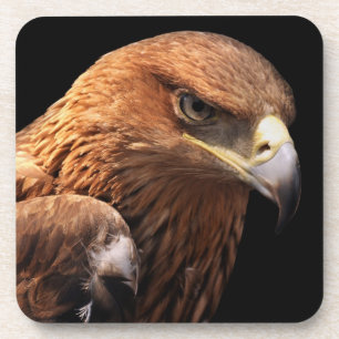Porta-copo Retrato de Eagle isolado no preto