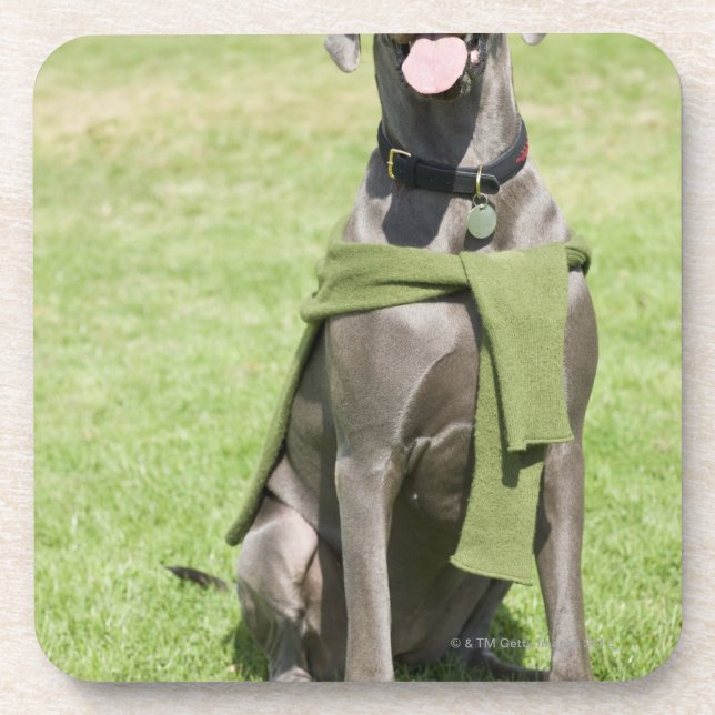 Porta-copo Retrato de great dane azul (Frente)