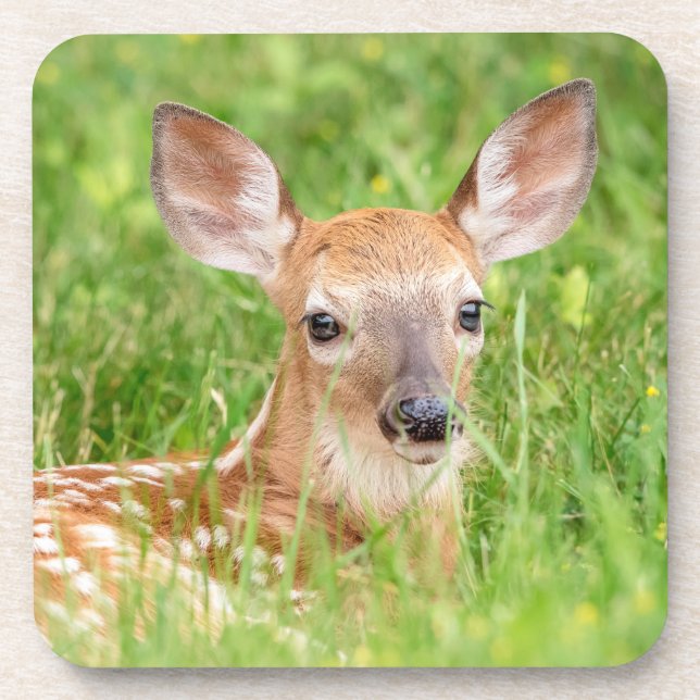 Porta-copo Retrato de uma Fawn (veado branco) (Frente)